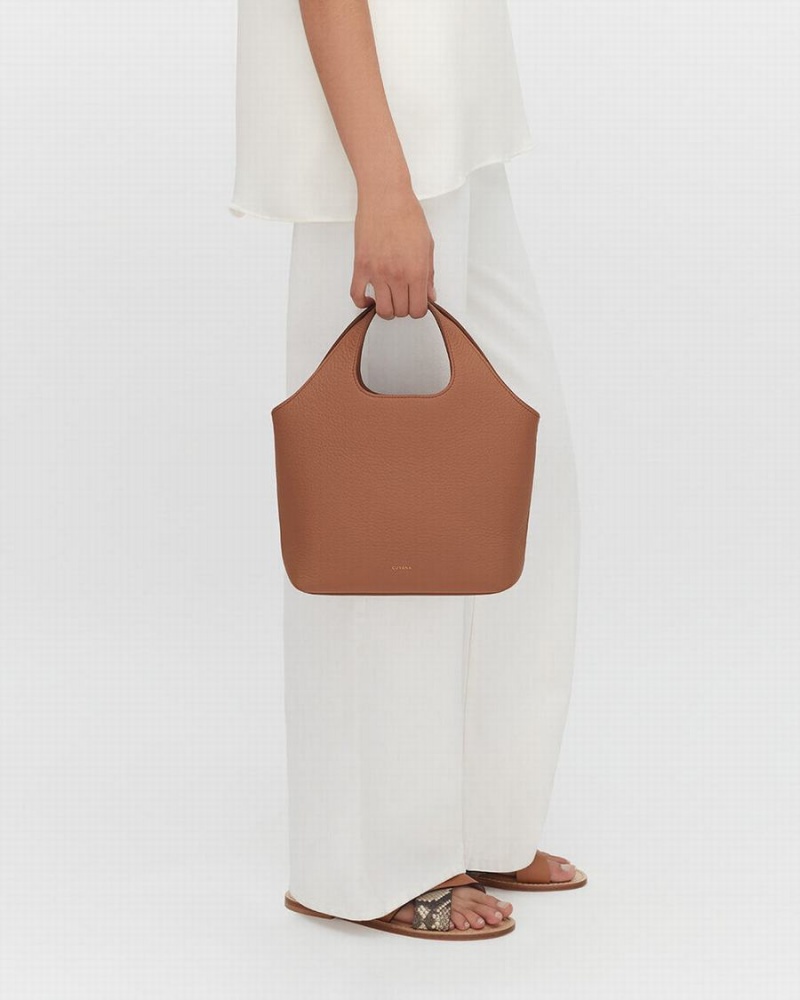 Bolso Tote Cuyana Mini System Mujer Marrones | RPS5822ZU