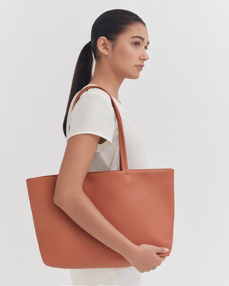 Bolso Tote Cuyana Small Easy Mujer Rojas Marrones | XND7825AR