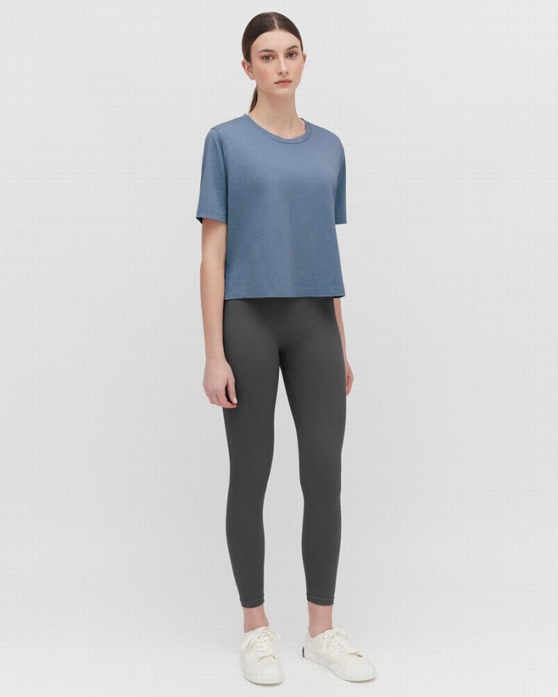 Camiseta Cuyana Pima Cropped Tee Mujer Azules | HQD6549QJ